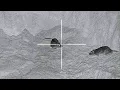 Download Lagu When RAT HUNTING becomes WAR!