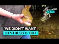 of Hutt boys gentle rescue of brown trout goes viral Stuff co nz