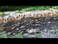 Woodland valley campground
