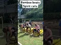 Straight from Bougainville, Papua New Guinea pure Bamboo Band music. #music #bamboo