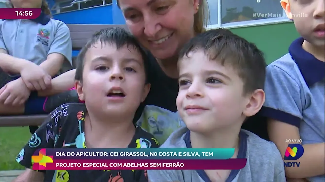 Dia do Apicultor: CEI Girassol, no Costa e Silva, tem projeto especial com abelhas sem ferrão