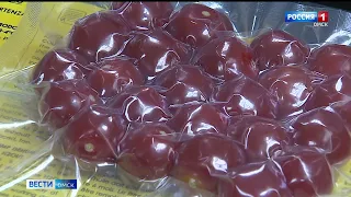 В Омске разработали методику по сохранению свежести продуктов на долгий срок