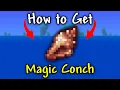 How to Get Magic Conch in Terraria 1 4 5 Seed