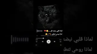لماذا قلبي نبضه قل لماذا روحي تنطفئ حالات واتس         الدعم                 لايك اشتراك دندنها