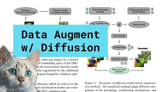 Data Augmentation with Diffusion Models