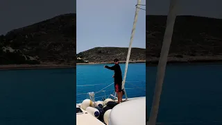 Dolphins and Whales in Greek Waters #sailing #wildlife