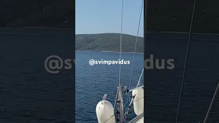 We are gona need a bigger boat! 😁.