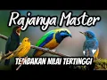 Download Lagu MASTERAN FULL TEMBAK PANJANG 100% AUTO GACOR || untuk murai batu kacer cucak ijo