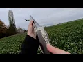 Download Lagu Pheasant hunting - Like a champ!