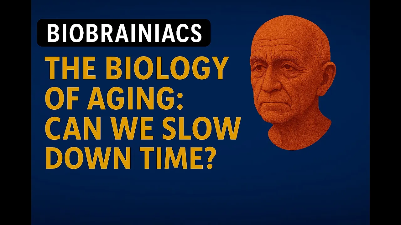The Biology of Aging: Can We Slow Down Time?