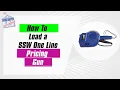 Mastering Retail How to Load Your SSW One Line Pricing Gun