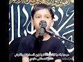 Download Lagu Marhaban bika Ya Aba Abdullah! Ya Zainassamawat Walarz, Hassan Mustafa Abidi (Qom)