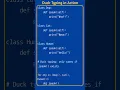 Duck Typing in Python
