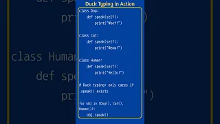 Duck Typing in Python