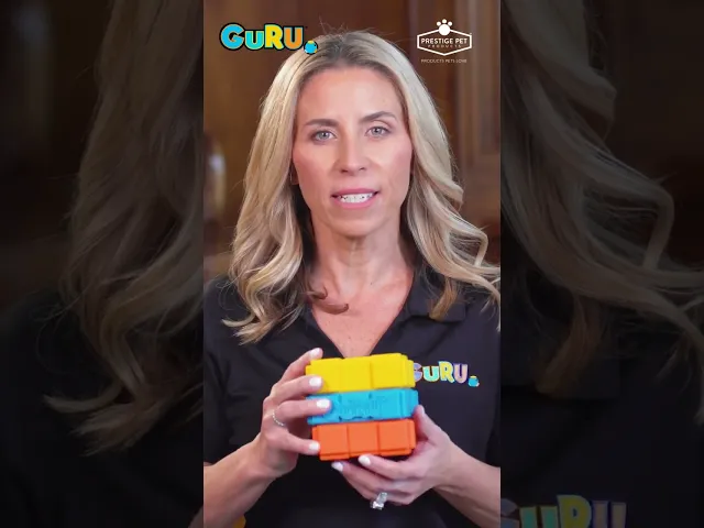 Guru Dog-X-Cube