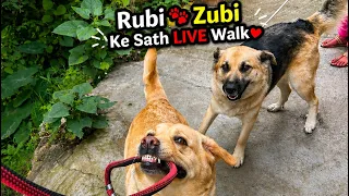 Rubi zubi ke sath live walk ❤️
