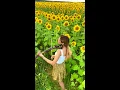 Download Lagu Memories - Maroon 5 Violin cover in Sun flower by Andreea Runceanu