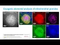 Dose-fractionated EELS spectrum image acquisition with direct detection cameras