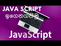 let s learn java script 8 sinhala web designing Html Scripting language JavaScript