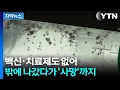 Download Lagu [자막뉴스] 고열·오한·검은 딱지까지...공포의 감염병 주의보 / YTN