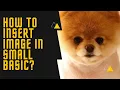 Learn How to Insert Picture in Small Basic
