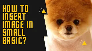 Learn How to Insert Picture in Small Basic