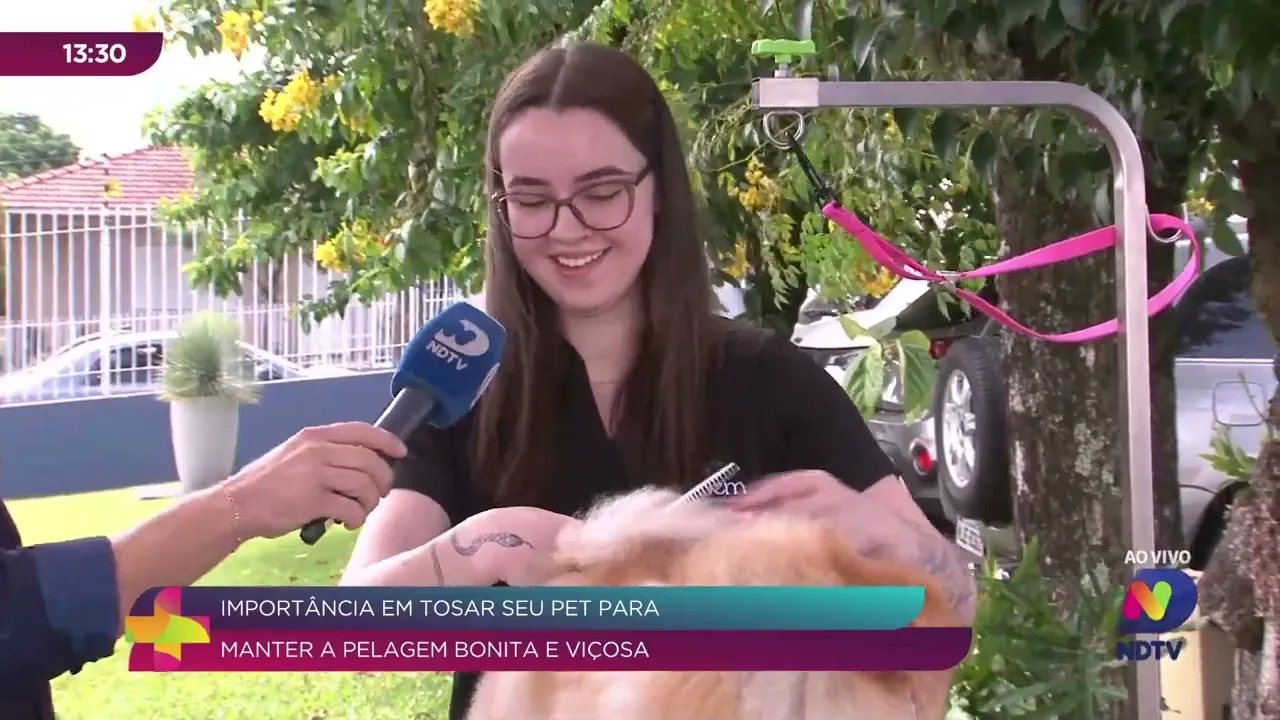 Dicas Essenciais para Tosa de Pets: Cuidados que Você Precisa Saber