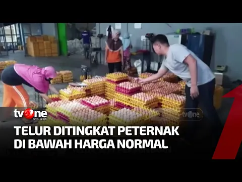 Permintaan Telur Sepi Menjelang Nataru, Peternak Keluhkan Mahalnya Harga Pakan