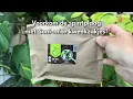 Download Lagu Soni-mite roofmijt kweekzakjes tegen spint