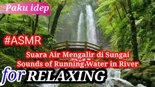 efek suara air mengalir di sungai sound effect running water in river 