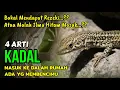 Download Lagu PERTANDA REZEKI ATAU ILMU HITAM MASUK ?? 4 ARTI KADAL MASUK KE DALAM RUMAH, Awas Ada Yang Membencimu