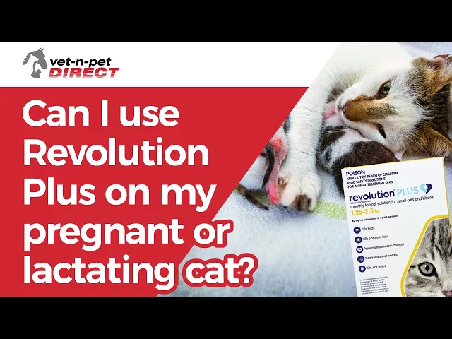 Revolution Plus for Medium Cats 2.6-5kg