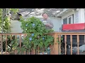 Paul s Backyard Tour