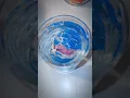 Download Lagu Watch the dino egg hatch🥚🤩#shorts #aliexpress