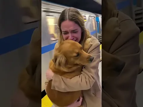 Man Risk your Life to rescue a Puppy #dogrescue #dogshorts  #dog