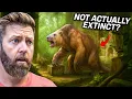 4 MORE Extinct Animals That I Believe Could Still Be Alive