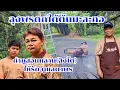 Download Lagu เป็นห่วงลุงพรตกต้นมะละกอ  กำภูสอนสิงโตให้ดูแลตาพร#บ้านสวนกำภู