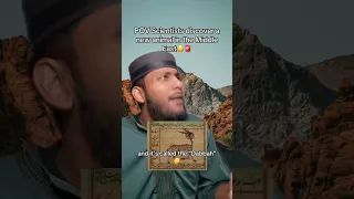 این هنوز اتفاق نیفتاده  فقط یه جوک خنده داره                                                           دندنها