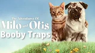 The Adventures of Milo and Otis: Booby Traps (Music Video)