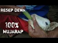 Download Lagu Obat kambing mencret paling ampuh, satu hari dijamin sembuh