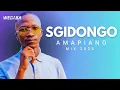Download Lagu SGIDONGO MIX | AMAPIANO 2025 | DJ WEBABA