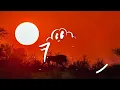 Shallipopi & Burna Boy - Laho II (Lyrics)