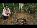 Download Lagu Abandoned by her husband, a single mother goes into the forest to dig wild potatoes to survive.
