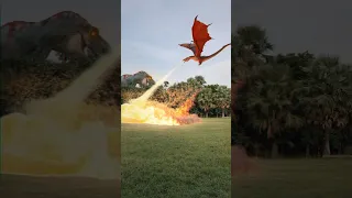 Dragon Attacks With Fire Breathing Dragon Dragonattack Dinosaur Shorts 