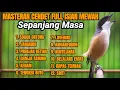 Lagu MASTERAN CENDET GACOR PALING AMPUH BIKIN CENDET LANGSUNG NYAUT DAN IKUT GACOR DENGAN SUARA INI