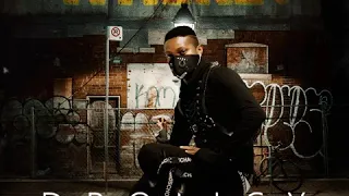 dpolicy where official audio 