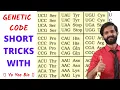 How to remember Genetic code Codon and amino acids Short tricks with yo yoo bio