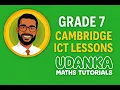 Grade 7 Cambridge ICT Python Programming Inputs Outputs Explained