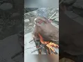 Terlalu banyak tertawa bikin perutku sakit nih🤣https://s.snackvideo.com/p/9aI2jR5q