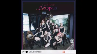 Download BOTOPASS (보토패스) — Flamingo | Extended Version MP3